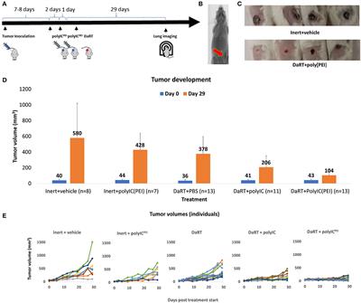 RIG-1-Like Receptor Activation Synergizes With Intratumoral Alpha Radiation to Induce Pancreatic Tumor Rejection, Triple-Negative Breast Metastases Clearance, and Antitumor Immune Memory in Mice